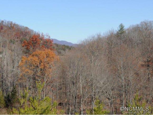 0 Pride Mountain Road Waynesville, NC 28786 - Photo 10 of 23 Gallery Image 10