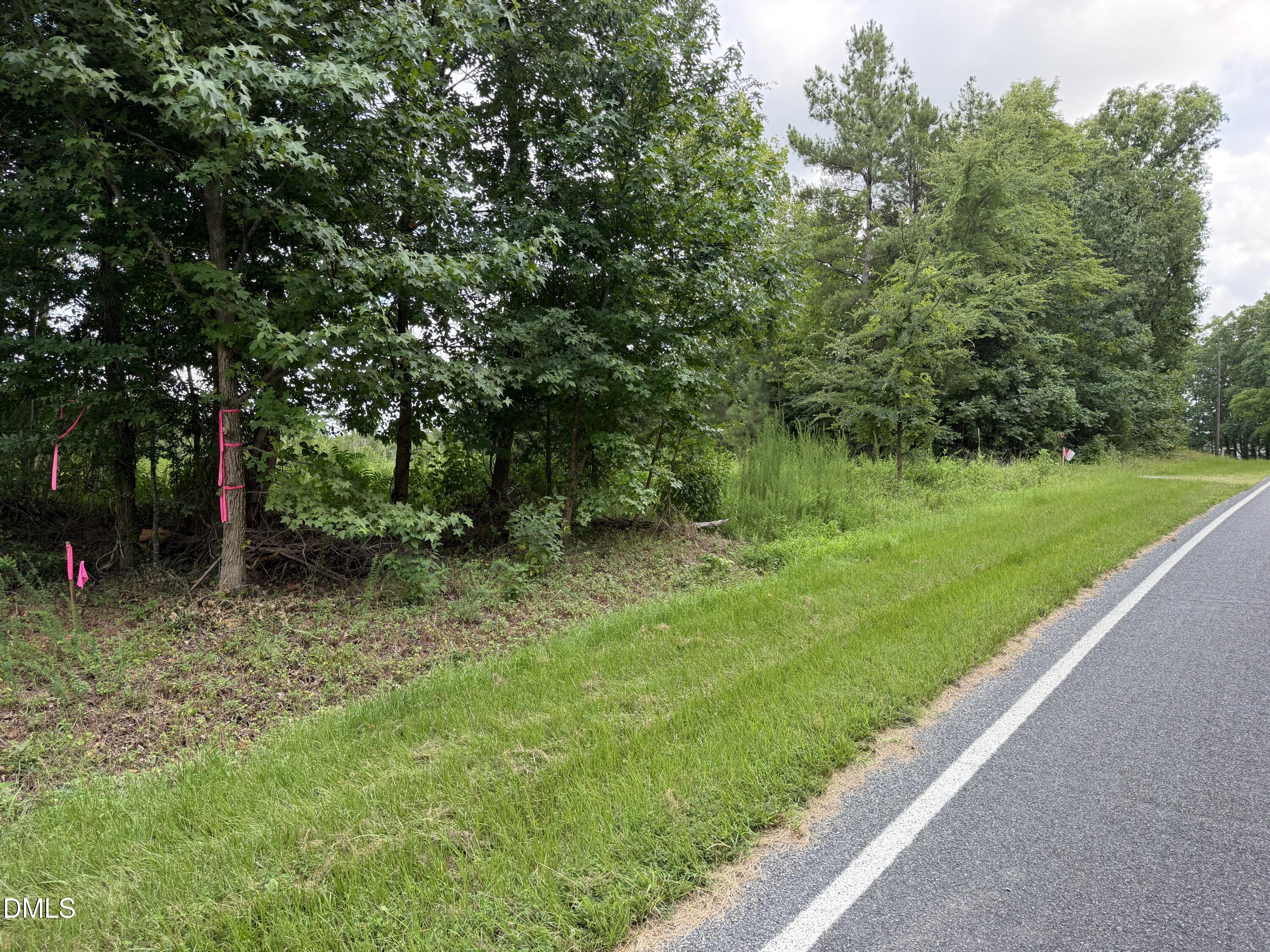 0 Chatham Church Road Moncure, NC 27559 - Photo 2 of 17 IMG_8901