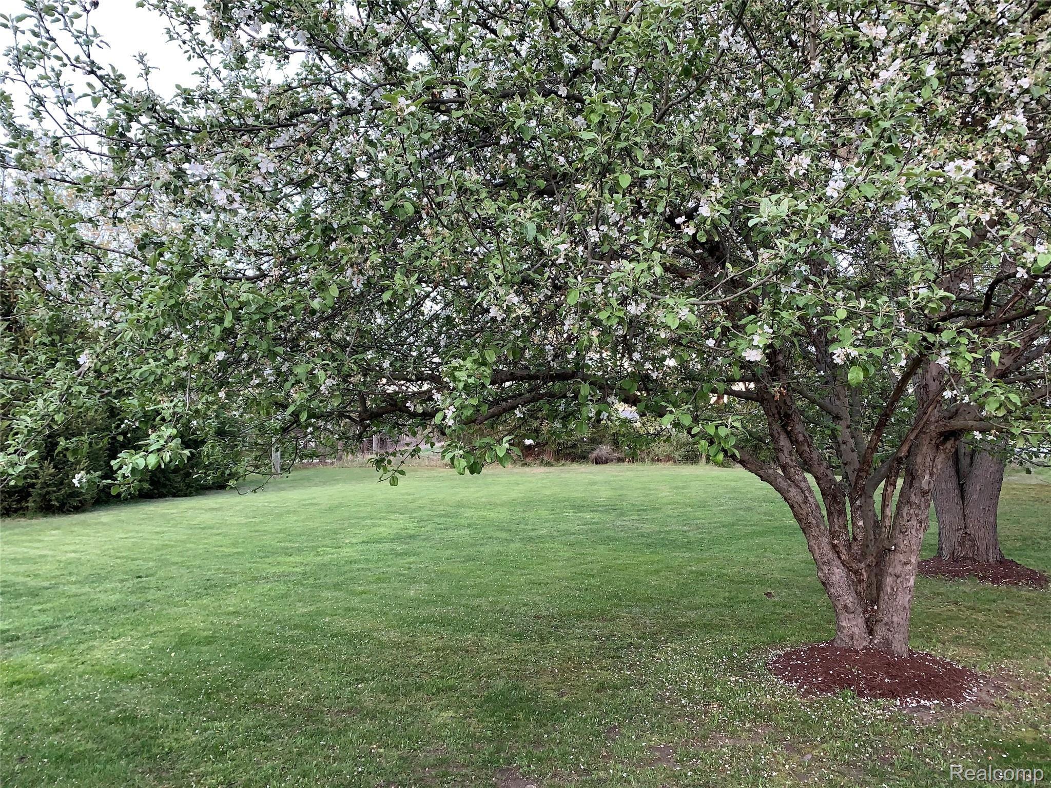 3039 Rochester Road Leonard, MI 48367 - Photo 5 of 66 97EC9059-5610-45EE-9993-C1B22B12BECB.jpeg