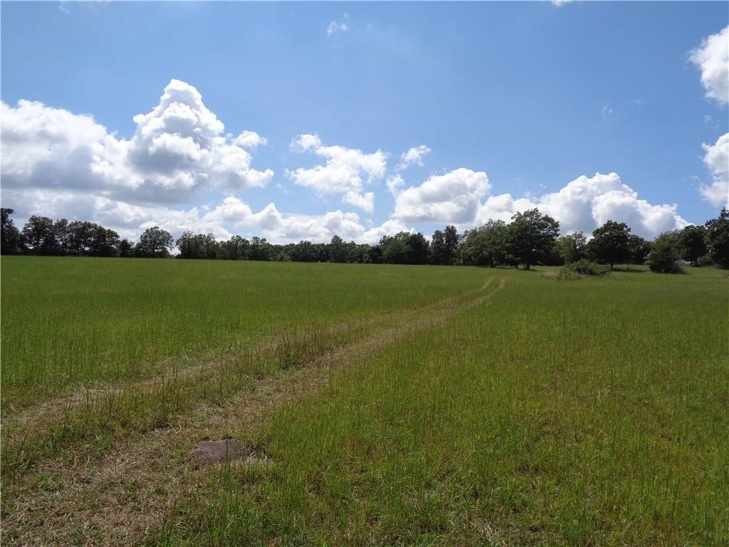 1550 Tbd County Road Compton, AR 72624 - Photo 13 of 27 Gallery Image 13