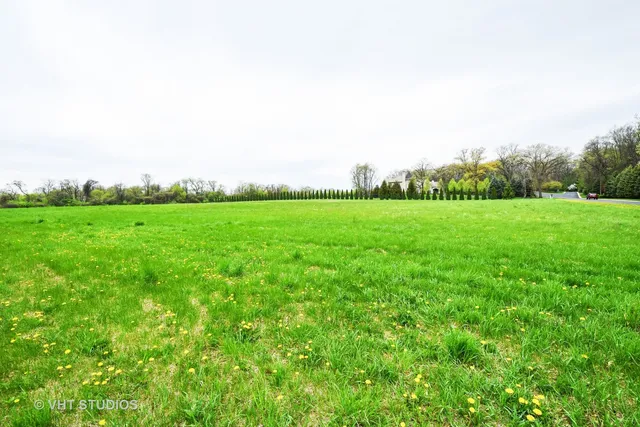 a view of a grassy field with trees