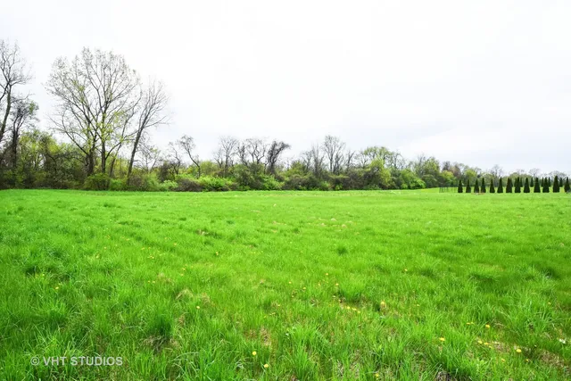 a view of a grassy field with trees