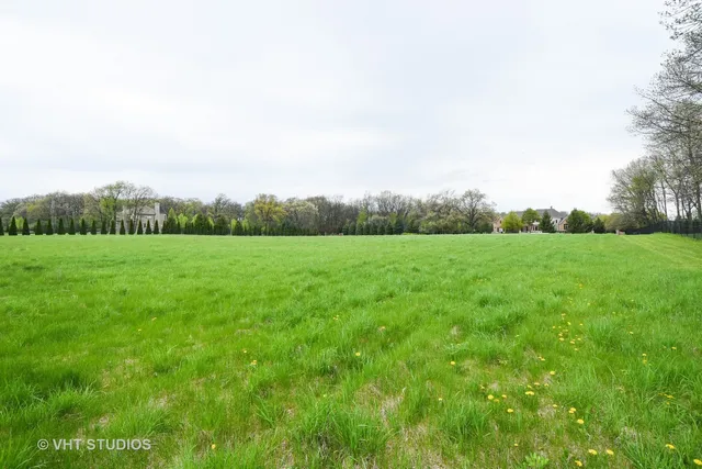 a view of a grassy field with trees