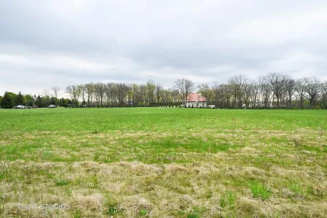 a view of a green field with trees in the background