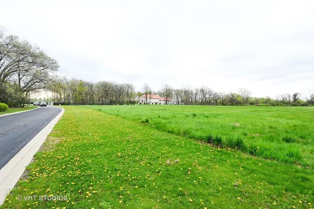 a view of a grassy field with trees