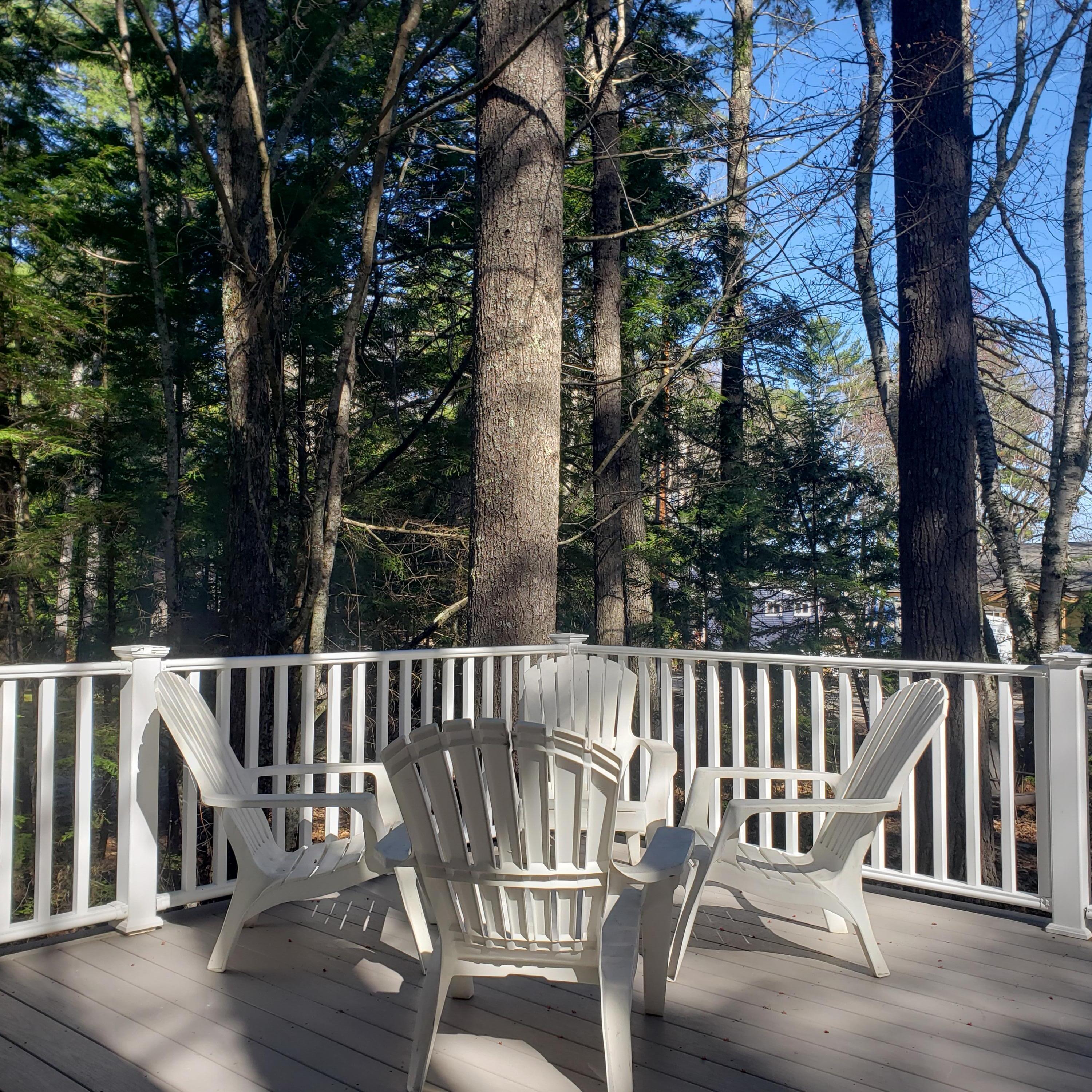 287 Northwest River Road Sebago, ME 04029 - Photo 11 of 106 20260428_160208