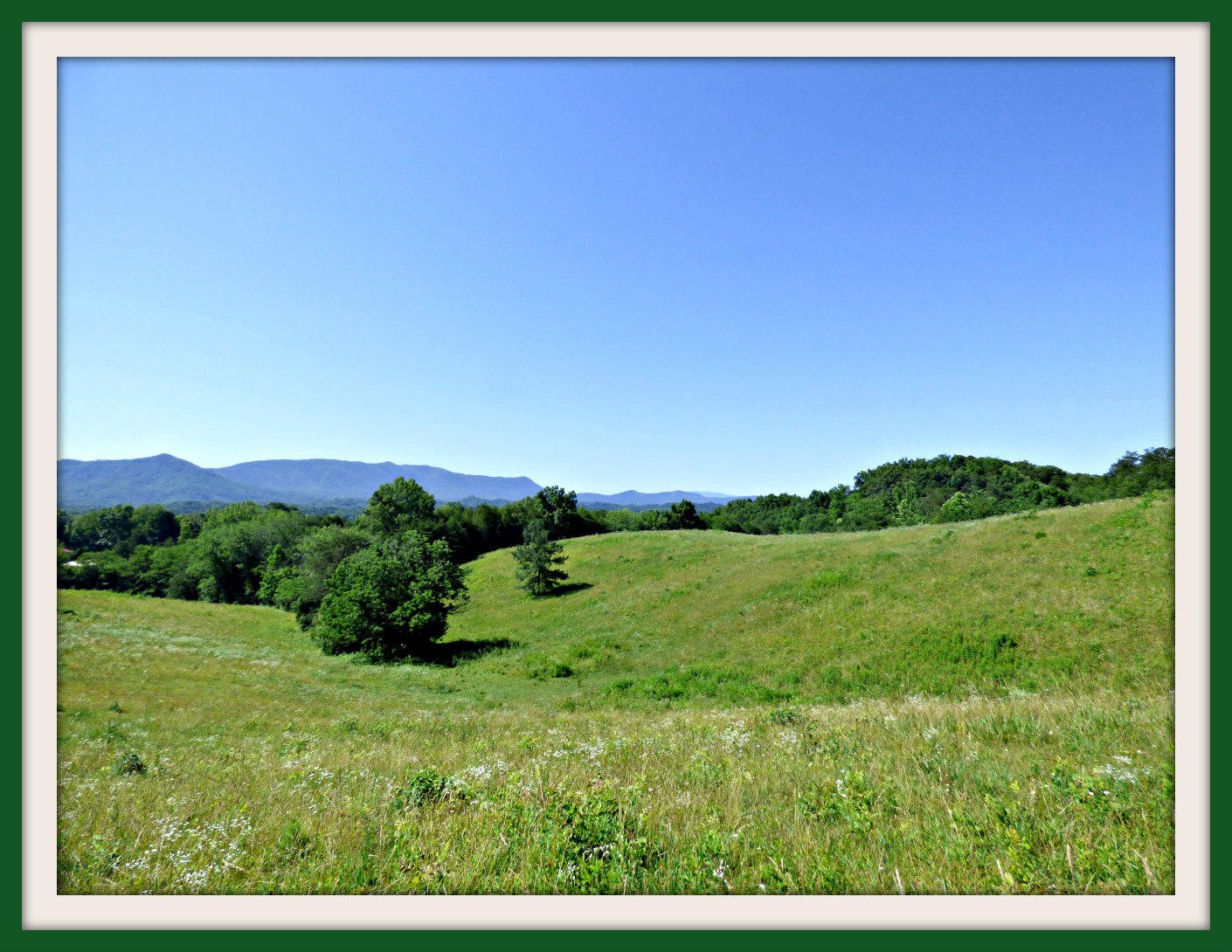 1 Swannsylvania Road Dandridge, TN 37725 - Photo 13 of 19 Gallery Image 13