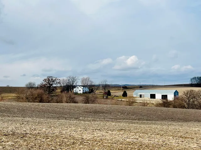 a view of a big yard
