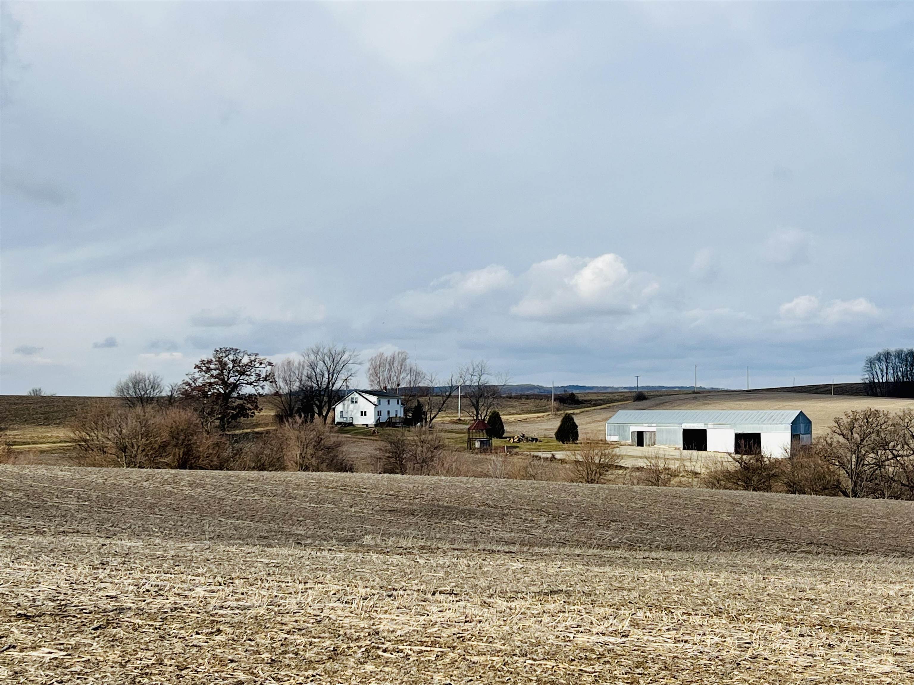 a view of a big yard