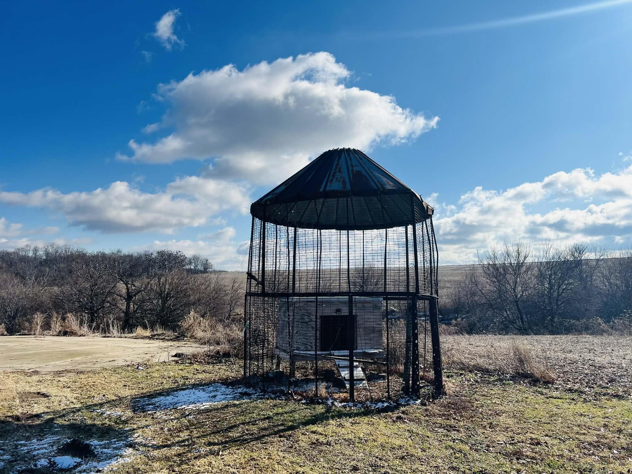 1625 South County Divide Road Pearl City, IL 61062 - Photo 6 of 30 a view of a backyard with sitting area