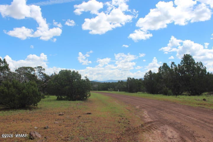 29 Co Road Show Low, AZ 85901 - Photo 20 of 23 Gallery Image 20