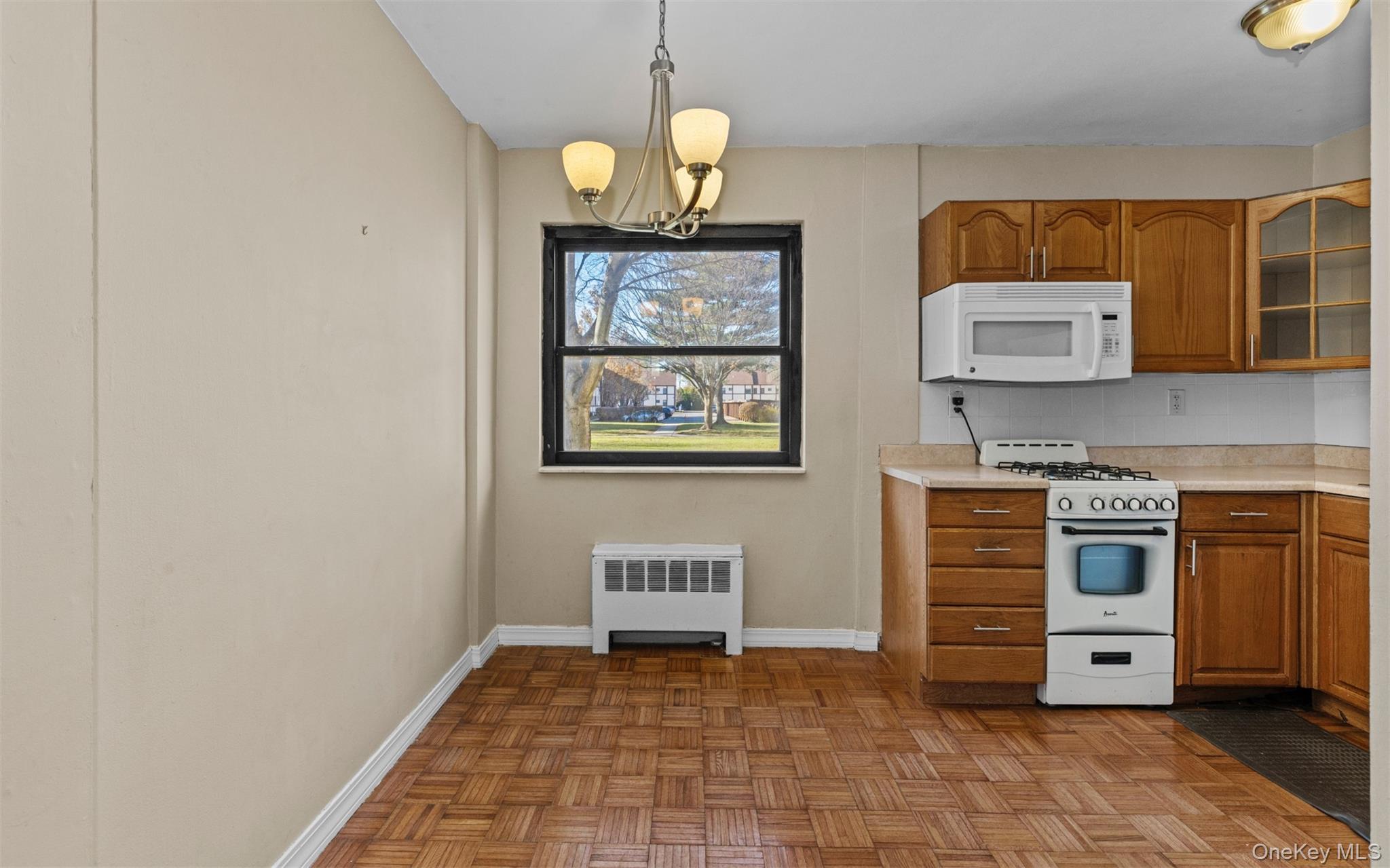 113 15th Street, Unit 1C Garden City, NY 11530 - Photo 6 of 14 a view of kitchen with stainless steel appliances granite countertop a stove a sink and a microwave