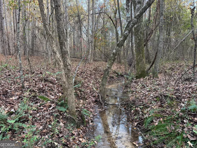 a view of a yard with plants and trees