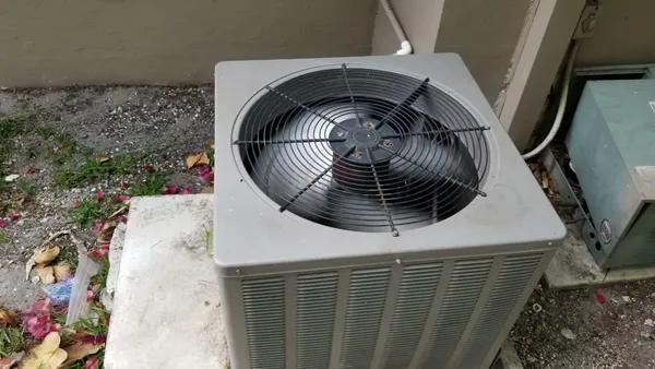 a picture of a plant