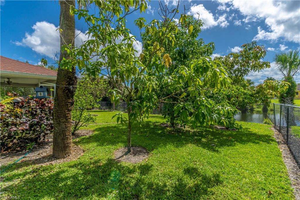 2100 55th Street Southwest Naples, FL 34116 - Photo 19 of 50 a view of yard with green space