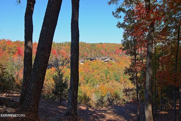 $90,000 | Lot 17 Emerald Drive, Jamestown, TN 38556