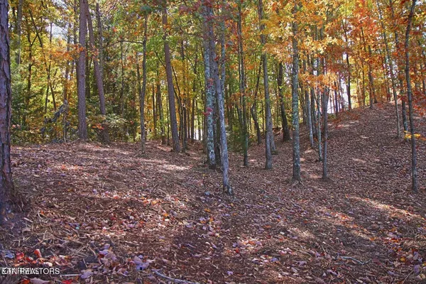 $90,000 | Lot 17 Emerald Drive, Jamestown, TN 38556