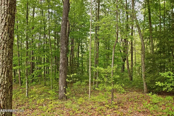 $90,000 | Lot 17 Emerald Drive, Jamestown, TN 38556