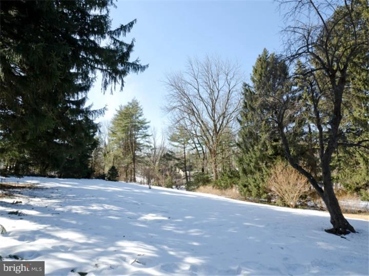 1308 Pinewood Road Villanova, PA 19085 - Photo 22 of 25 Back Yard