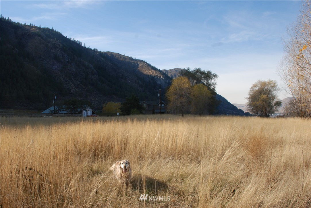 0 Galbraith Road Brewster, WA 98812 - Photo 11 of 14 Gallery Image 11