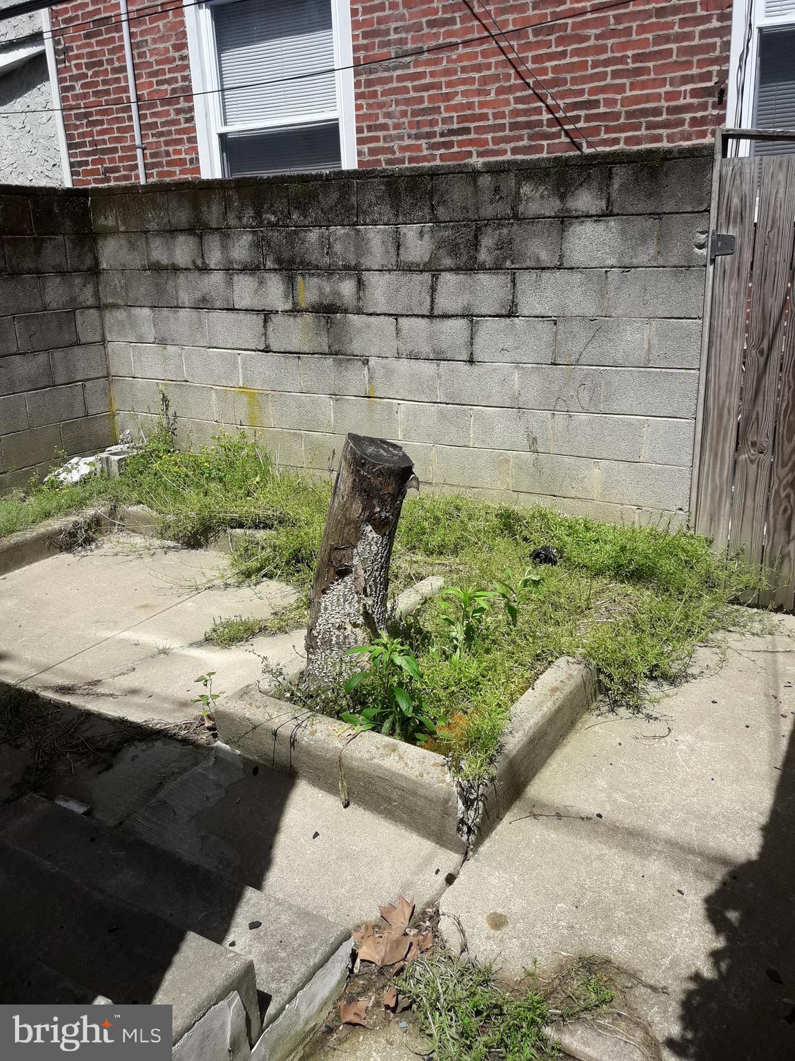 5805 Master Street Philadelphia, PA 19131 - Photo 19 of 37 Rear yard