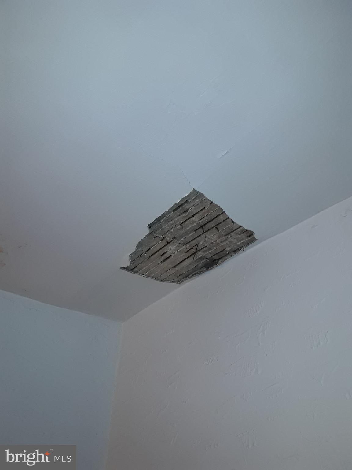 5805 Master Street Philadelphia, PA 19131 - Photo 9 of 37 Living room ceiling