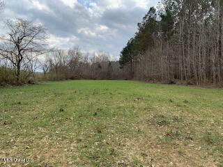 East Anderson Road Enid, MS 38927 - Photo 3 of 16 Food Plot Near Sandy Creek