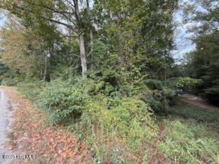 2 Galestown Road Rockingham, NC 28379 - Photo 4 of 5 950D71A9-718C-4AAE-A0A8-B79384AFE434