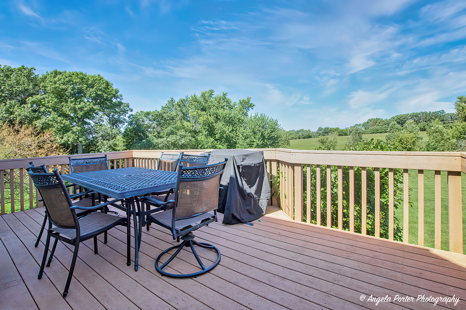 3414 Forest Ridge Drive Spring Grove, IL 60071 - Photo 51 of 62 Gallery Image 51