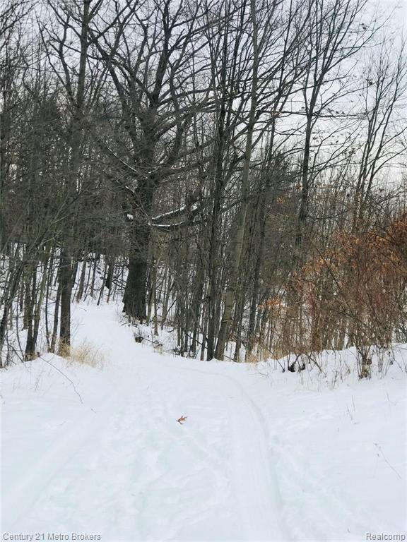 4493 Gregory Road Goodrich, MI 48438 - Photo 2 of 11