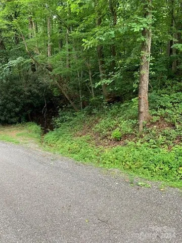 a view of backyard with green space