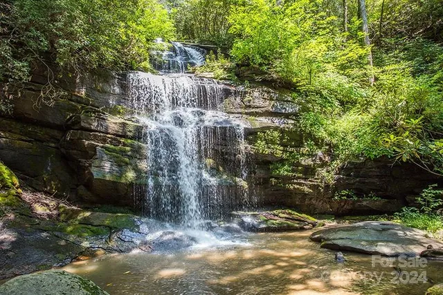 a view of a house with a tree