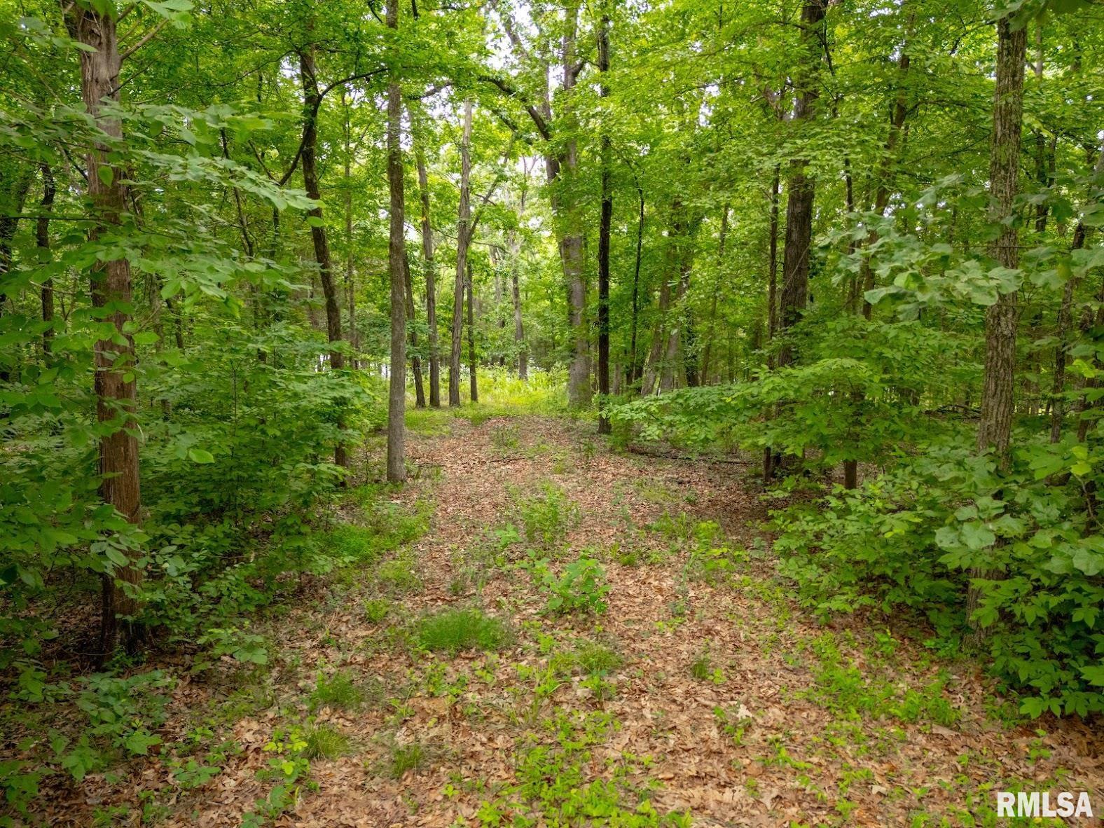 Lot 164 Parrish Ridge Lane Goreville, IL 62939 - Photo 7 of 17