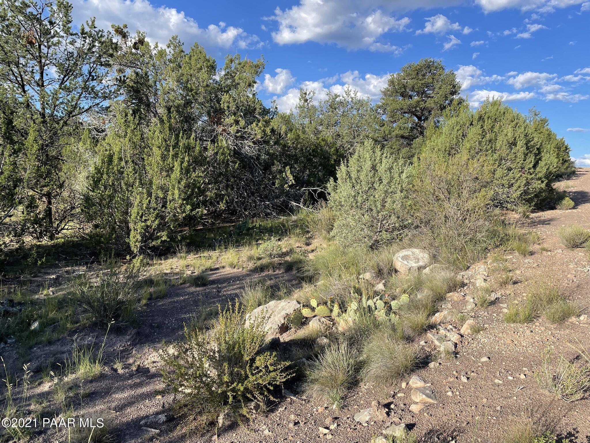 32579 West Conejo Road Seligman, AZ 86337 - Photo 4 of 16 IMG_0652
