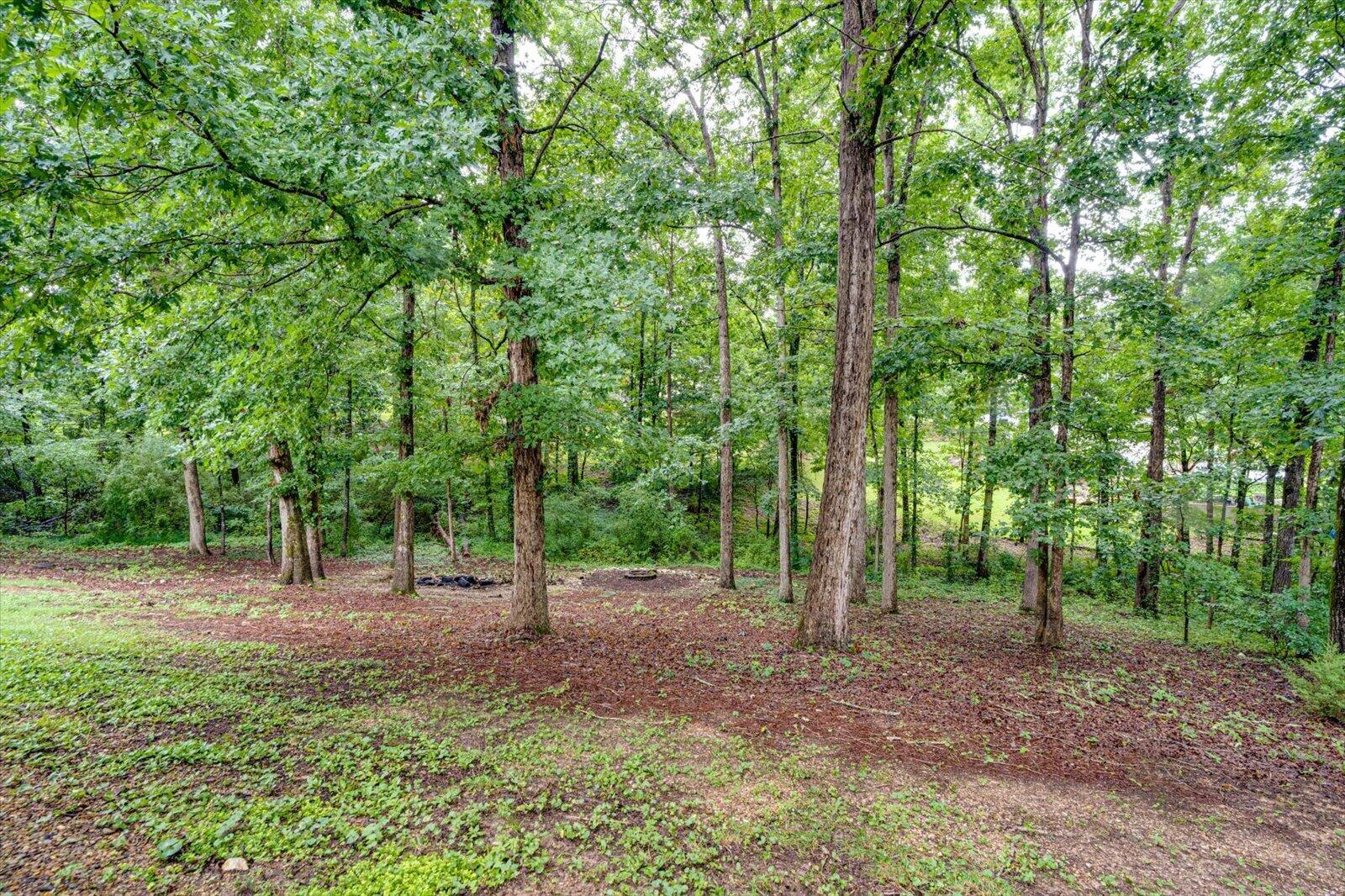 5933 Riley Road Ooltewah, TN 37363 - Photo 30 of 35 31-5933 Riley Rd-31