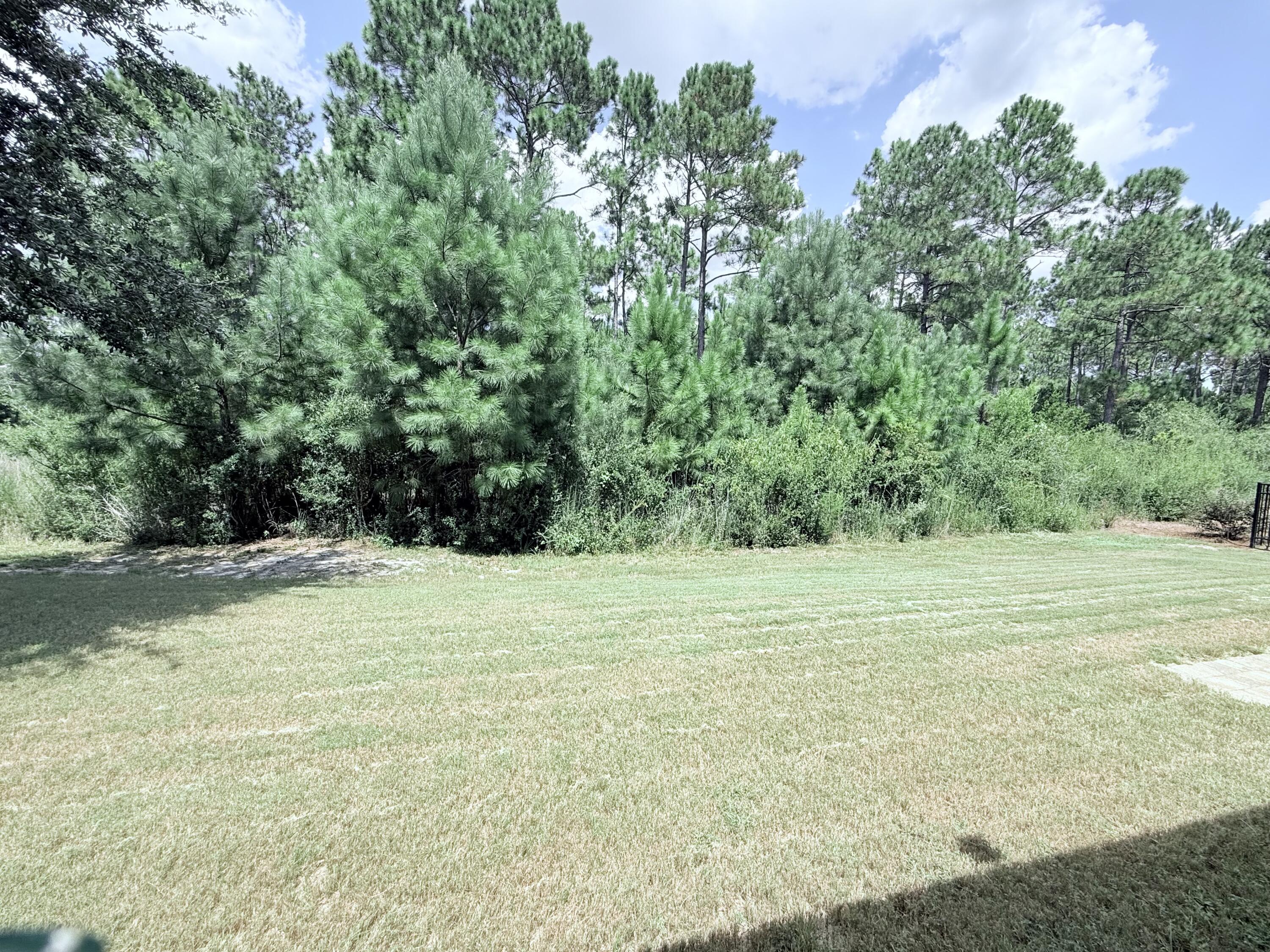 466 Brighton Cove Freeport, FL 32439 - Photo 27 of 37 steel8