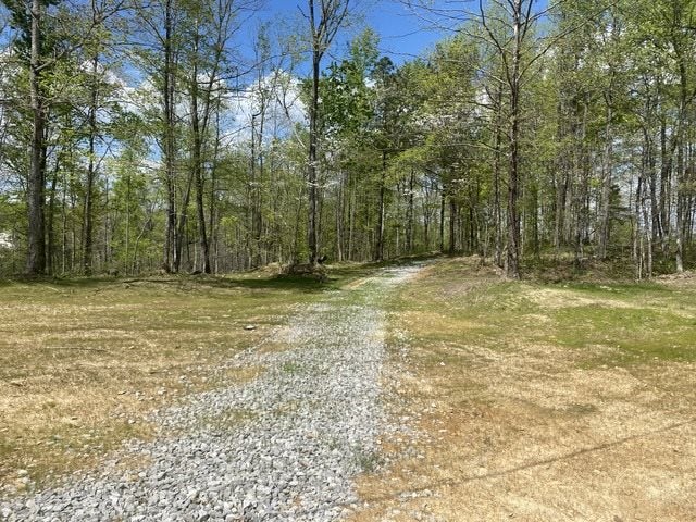 6000 Greenbriar Road Breeding, KY 42715 - Photo 1 of 29 Gallery Image 1