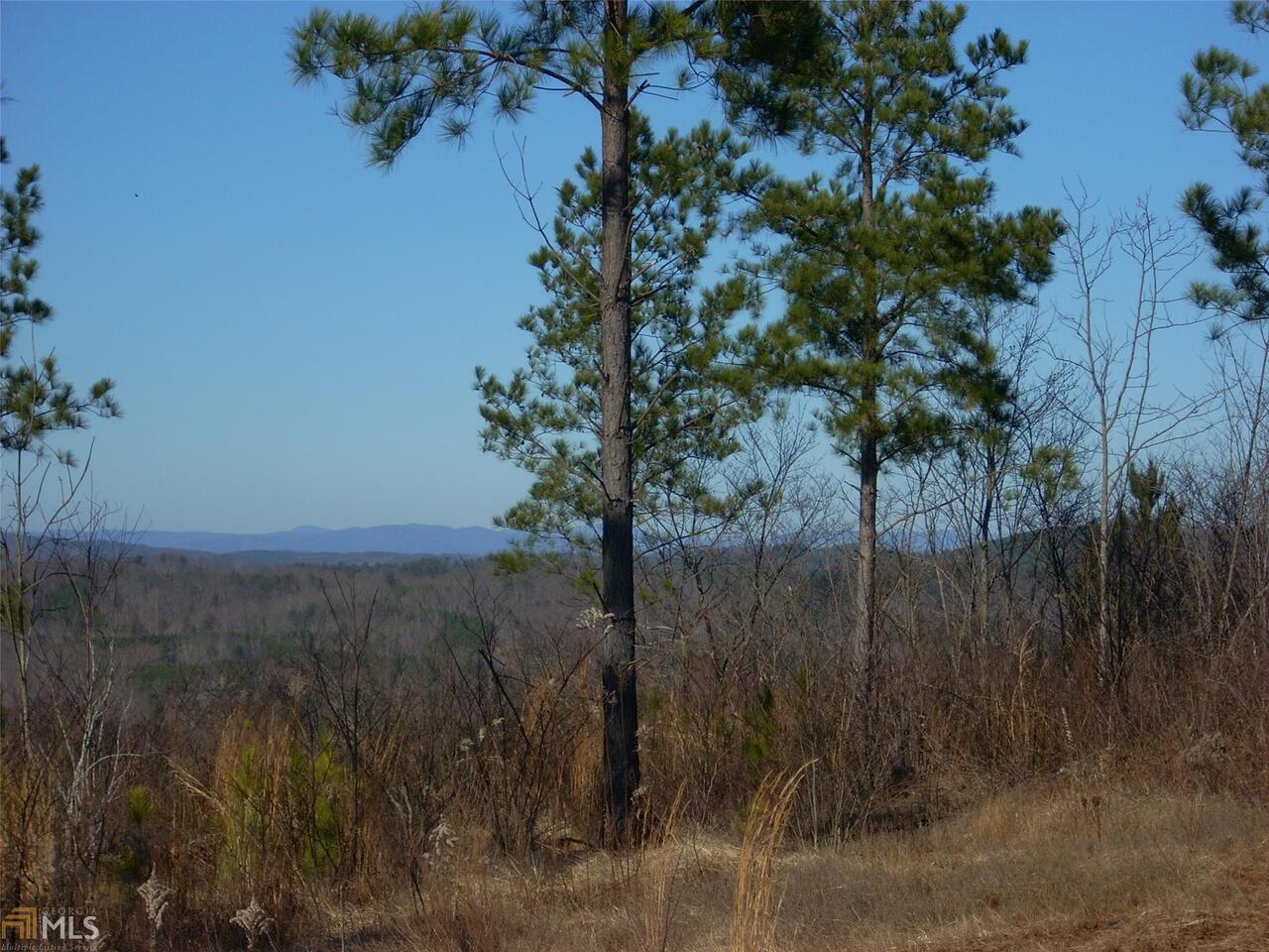 0 Townsend Teague Road, Unit TRCT 2 Rydal, GA 30171 - Photo 1 of 1 Gallery Image 1