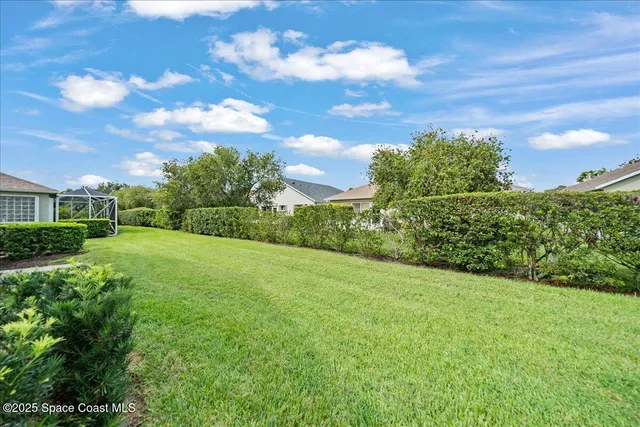 a view of a yard with an outdoor space