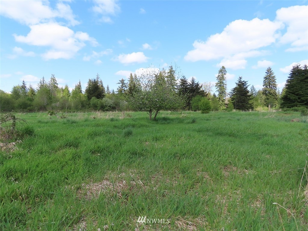 4 State Route 6 Chehalis, WA 98532 - Photo 13 of 38 a view of field with trees in the background