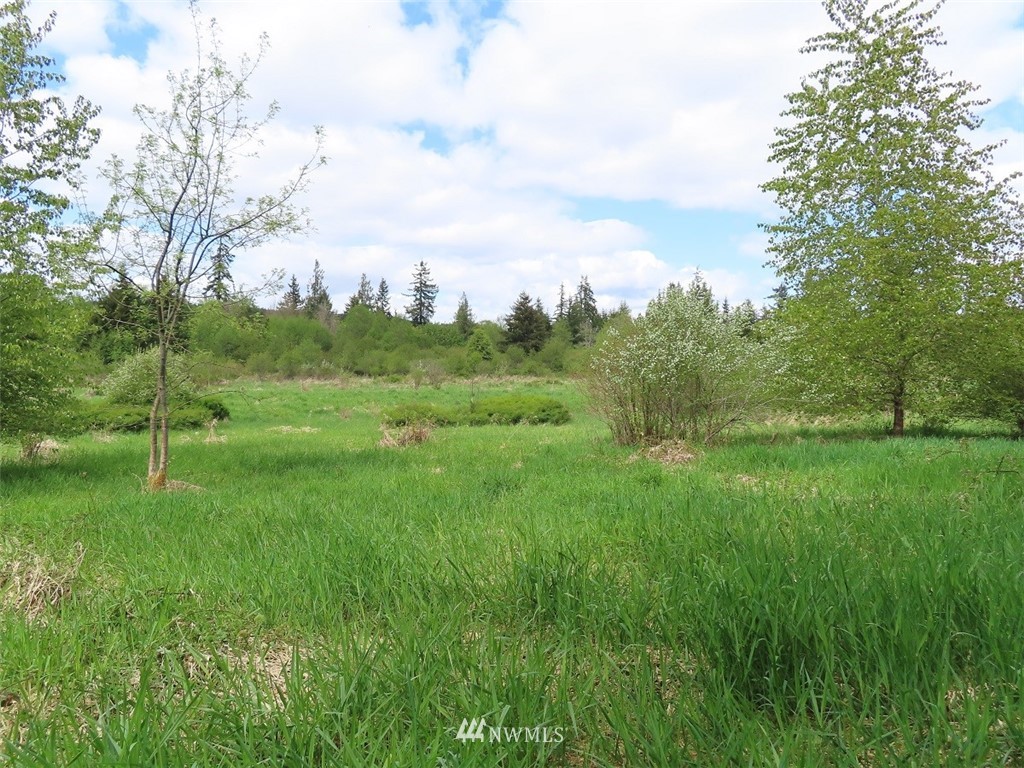 4 State Route 6 Chehalis, WA 98532 - Photo 16 of 38 a view of an outdoor space and a yard