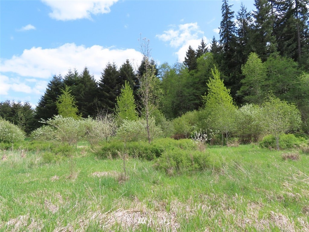 4 State Route 6 Chehalis, WA 98532 - Photo 17 of 38 a view of a lush green space