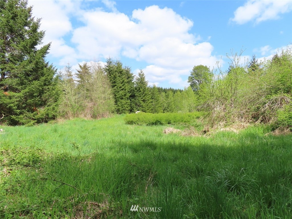 4 State Route 6 Chehalis, WA 98532 - Photo 21 of 38 a view of a big yard with plants and large trees