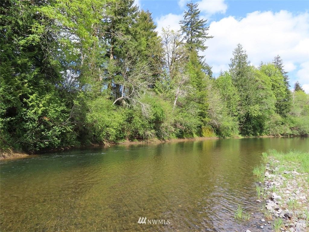 4 State Route 6 Chehalis, WA 98532 - Photo 25 of 38 a view of an ocean with trees
