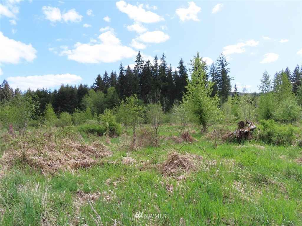 4 State Route 6 Chehalis, WA 98532 - Photo 30 of 38 a view of a lush green space