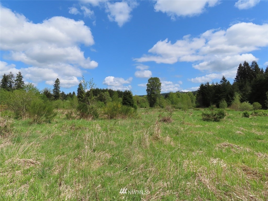 4 State Route 6 Chehalis, WA 98532 - Photo 33 of 38 a view of a bunch of trees and sky view
