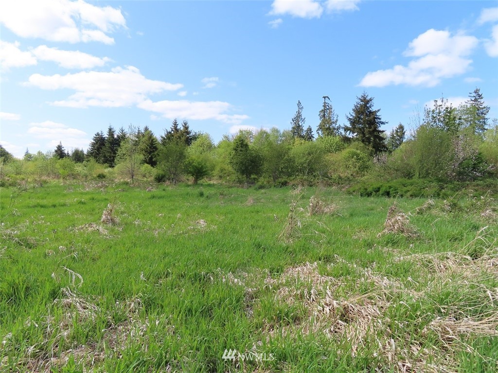 4 State Route 6 Chehalis, WA 98532 - Photo 34 of 38 a view of a big yard with large trees