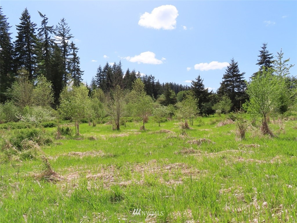 4 State Route 6 Chehalis, WA 98532 - Photo 6 of 38 a view of a green yard