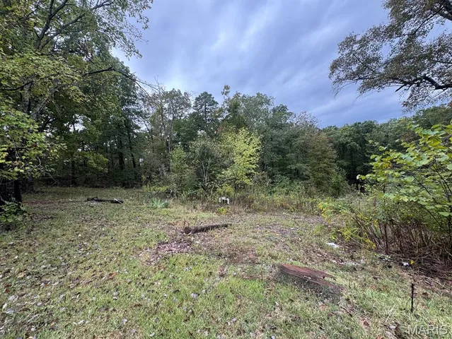 $40,000 | 1 Greenville, Greenville, MO 63944