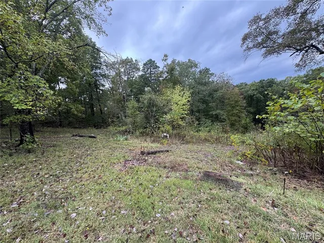 $40,000 | 1 Greenville, Greenville, MO 63944